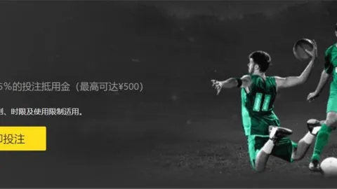 哈勒普网球生涯正式落幕