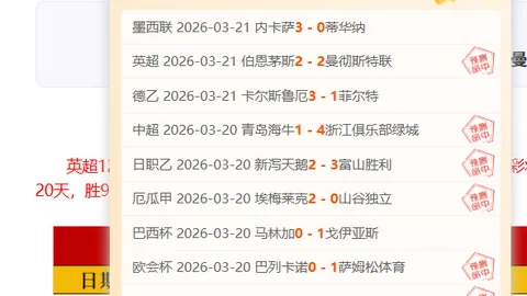 巴西乙6胜4负：期号专家推荐分析质合与前区十码对比