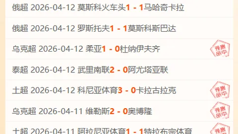 Bg大游真人体育 资讯 230849 fe6